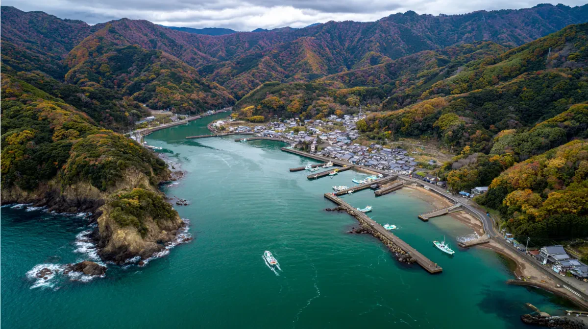 山あいの漁港を上空から見た風景